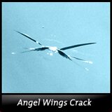 Angel Wings Windshield Crack
